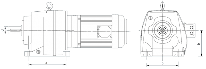Flender Motox-N (Лапы) Flender Motox-N (Лапы)